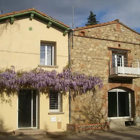 Mas Catalan Avec Piscine Privative Villa Camélas